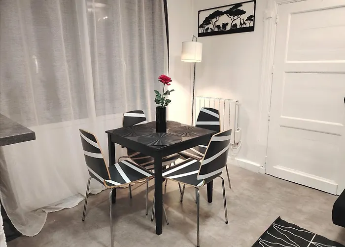 Apartment Le Parmentier - T2 Clermont-Ferrand